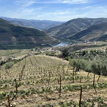 Quinta do Jalloto - Wineries Near Me - Casal de Loivos, 17