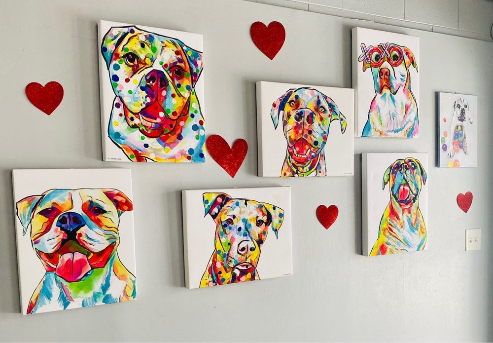Dog City Hotel & Spa - pet boarding facility in Saint Francis, WI