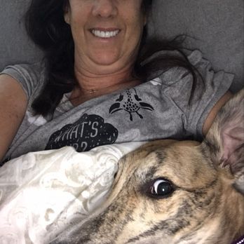 Operation Greyhound - Pets Near Me - El Cajon, California
