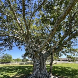 Rolling Oaks Park