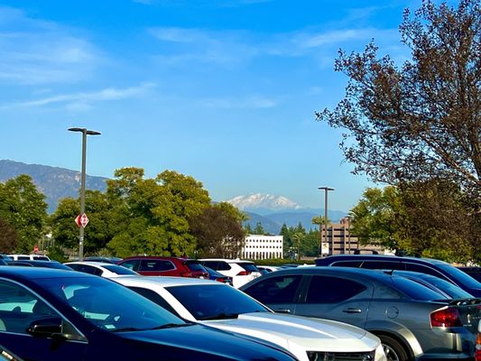 The Shops at Santa Anita by null