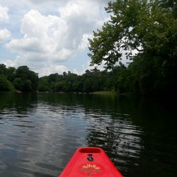 Wild Goose Canoe & Kayak Rental - Veiw from my kayak of the river and trees surrounding