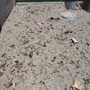 Photo of PoopFinders