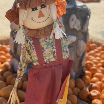 Pumpkin Station - Kids Activities Near Me - National City, California Pumpkin Station - Kids Activities Near Me - National City, California