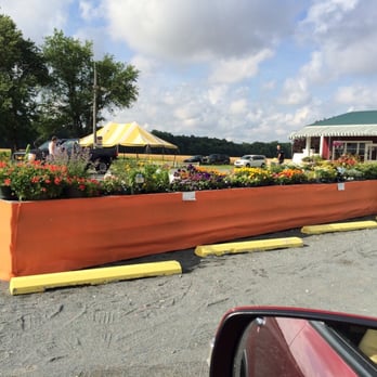 Fresh Connection - a planter in the middle of a parking lot - Farmers Market Near Me - Milford, Delaware