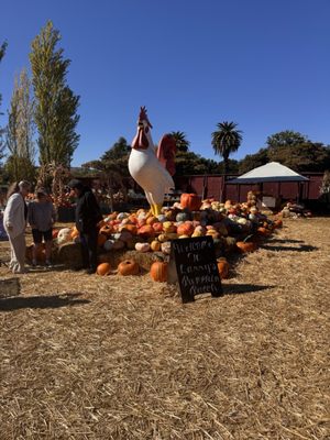 Larry's Produce by null