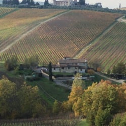 Il Vichiaccio