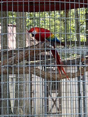 Cape May County Park & Zoo by null