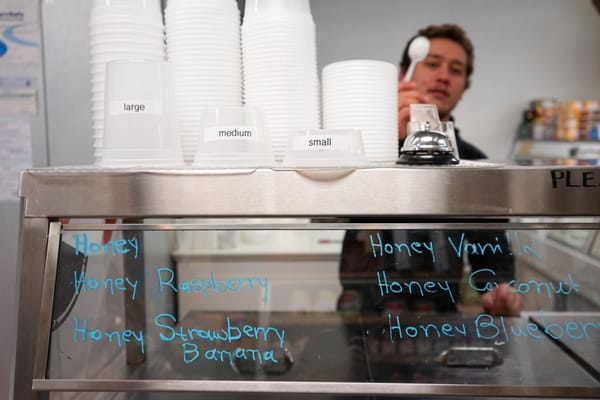 Sophia's Greek Pantry by null