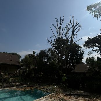 Valencia's Tree Service - Tree Services Near Me Valencia's Tree Service - Tree Services Near Me