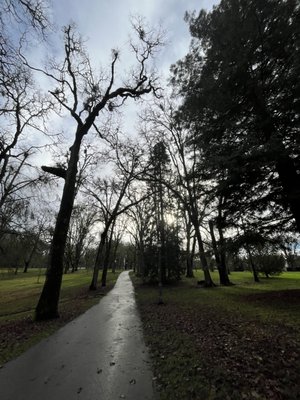 Bush's Pasture Park by null