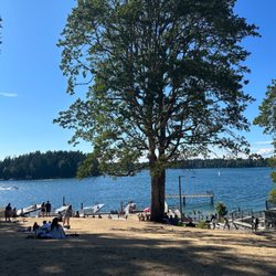 Harry Todd Park