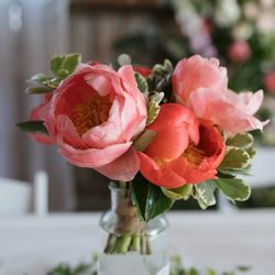 Shelbee Blooms