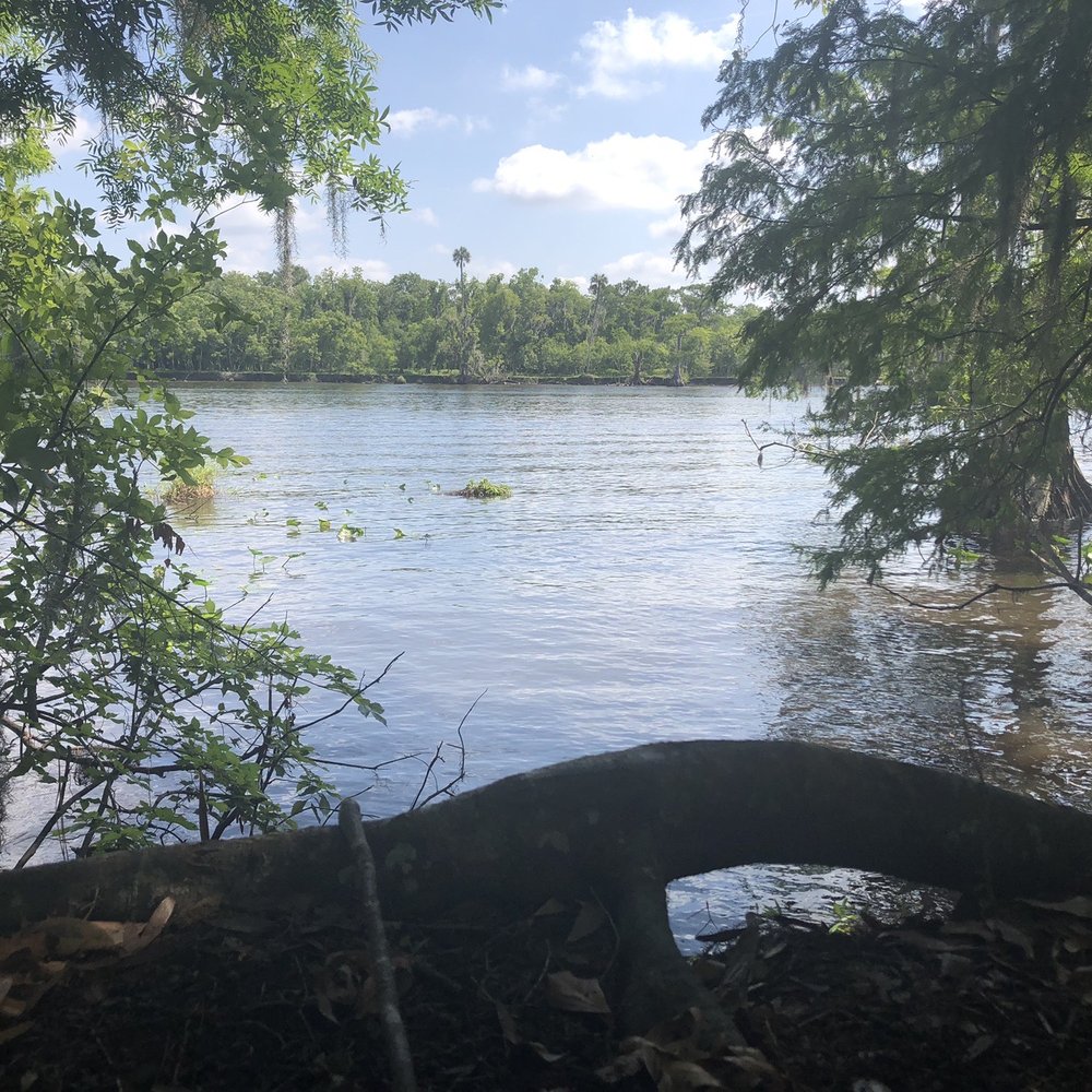 Black Bear Wilderness Area - Hiking Near Me - Sanford, Florida