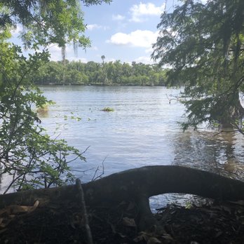 Black Bear Wilderness Area - Hiking Near Me - Sanford, Florida