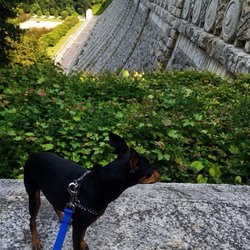 Kensico Dam - Valhalla, New York // Aerik Von
