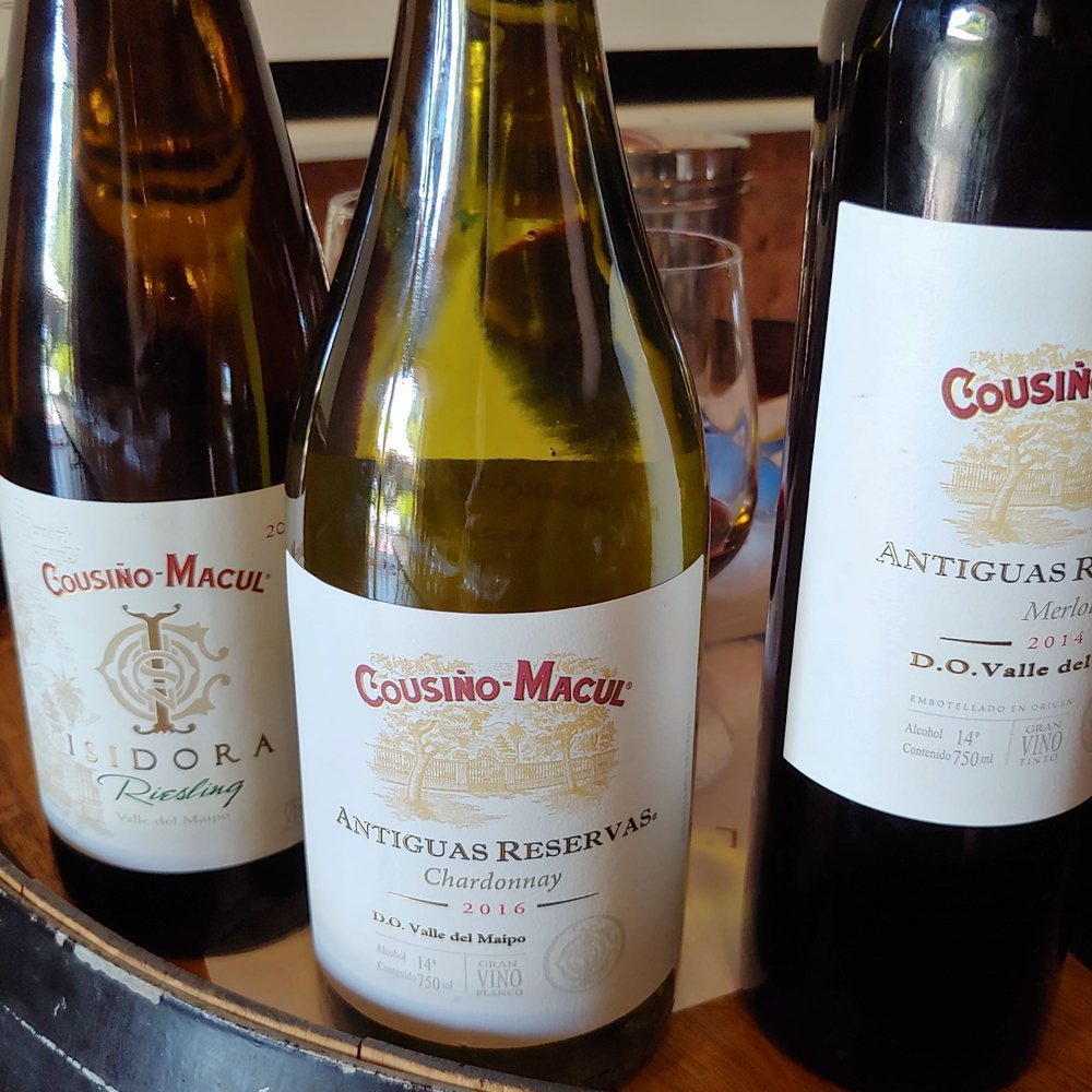Viña Cousiño Macul - Wineries Near Me - Santiago, RM