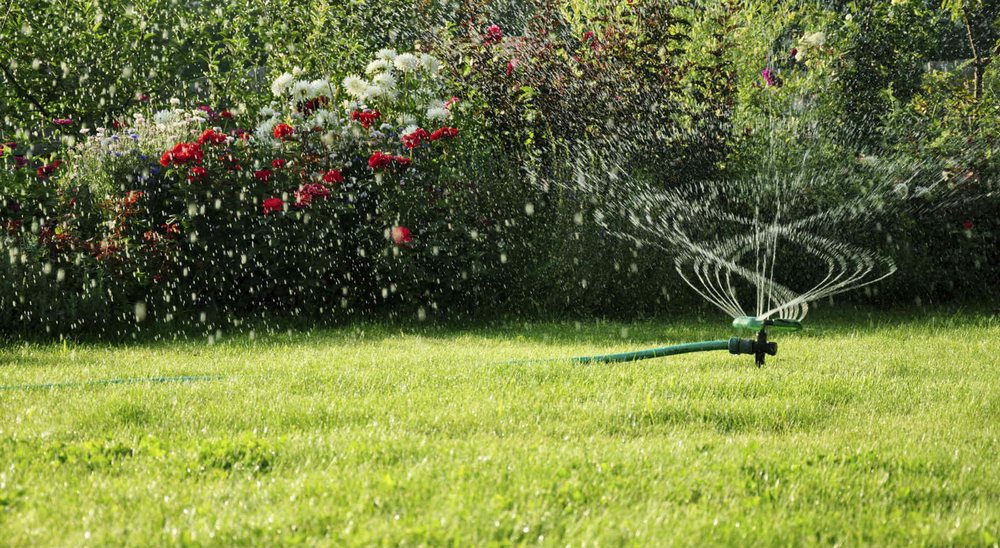 MARCELO LANDSCAPING AND IRRIGATION Haines City, Florida Landscaping