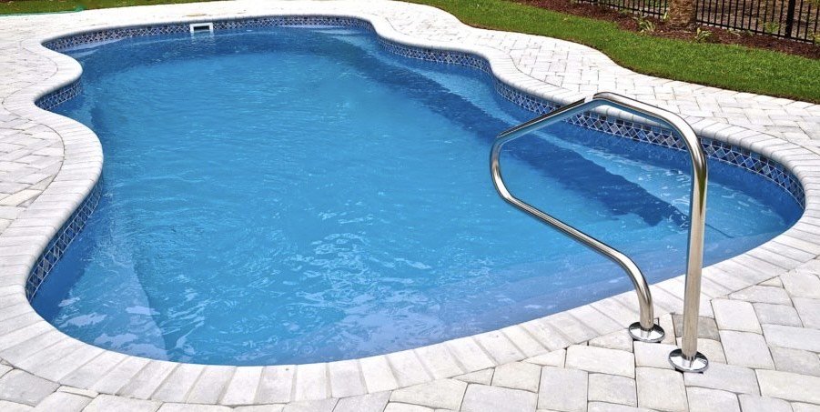 The Pool Bear Tampa Roadtrippers - O 