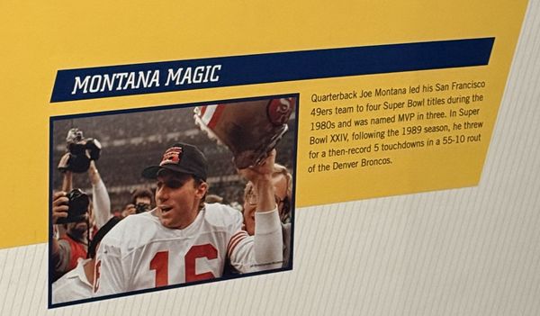 Pro Football Hall of Fame by null