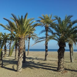 Playa del Arenal