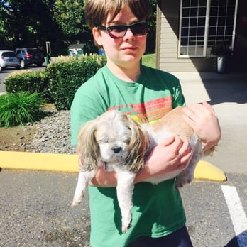 mill plain animal hospital