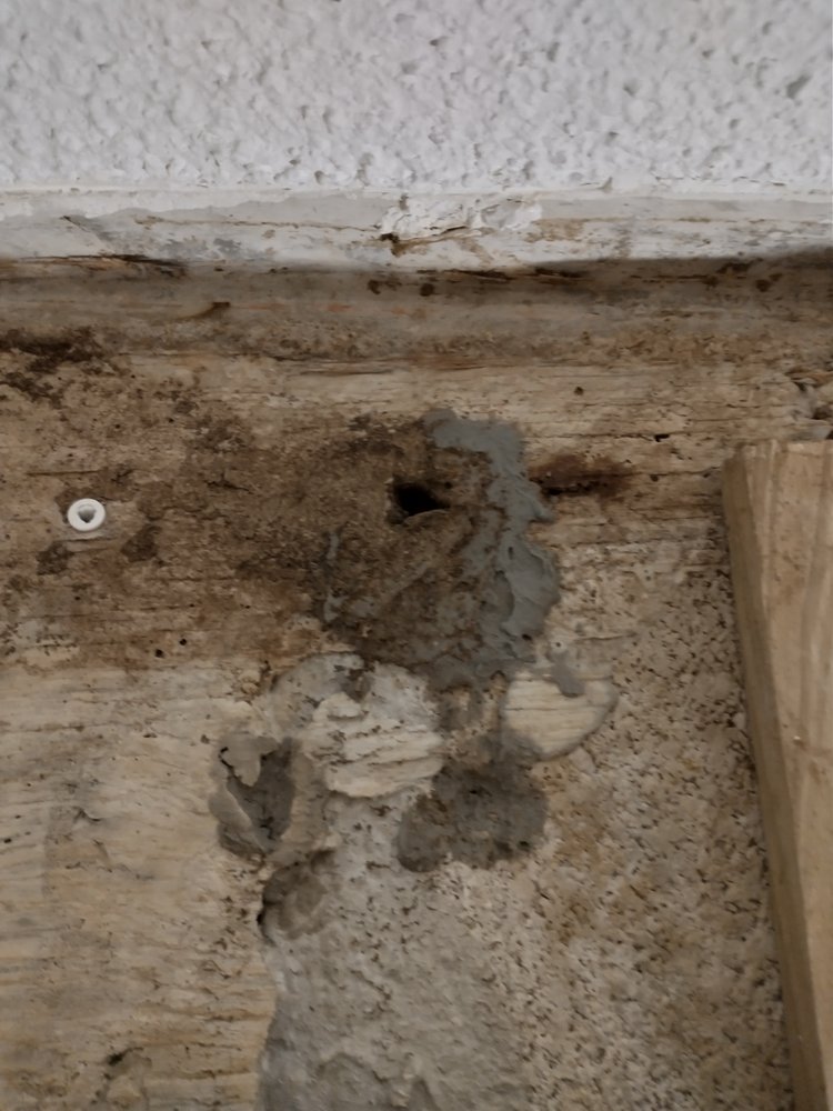 ALL FLORIDA PEST CONTROL 11 Reviews 5101 NW 21st Ave, Fort