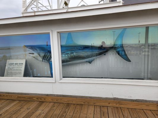 Ocean City Life-Saving Museum by null