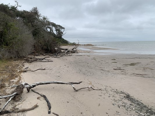 Aransas National Wildlife Refuge by null