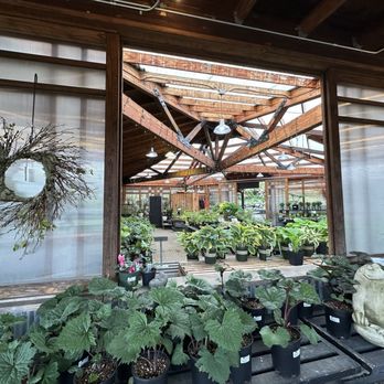 Cornell Farm - Zen plant shopping. - Nurseries & Gardening Near Me - Portland, Oregon