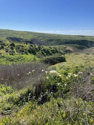 Tomales Bay Trailhead by null