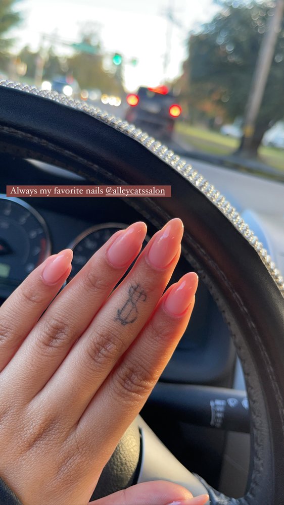 ALLEY CATS HAIR STUDIO & BLOW DRY BAR Updated October 2024 17