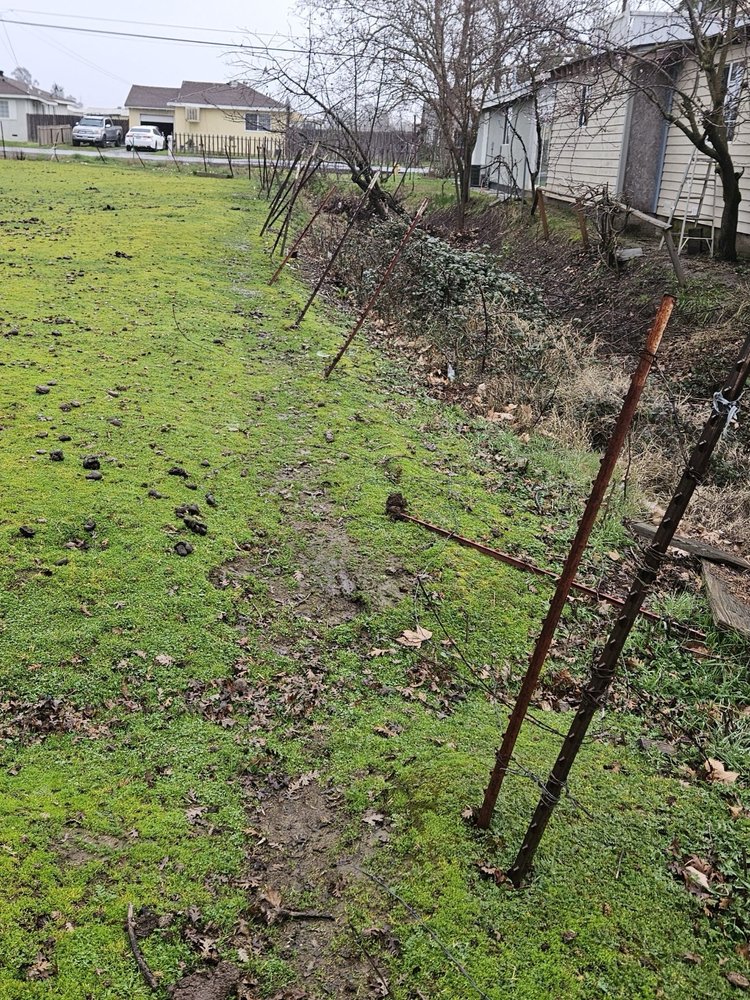 Slide of Mike Walker Lumber