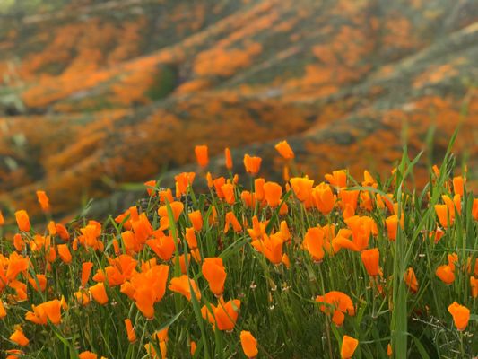 Walker Canyon by null