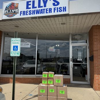 Elly’s Freshwater Fish - Local Fish Stores Near Me - Villa Park, Illinois Elly’s Freshwater Fish - Local Fish Stores Near Me - Villa Park, Illinois