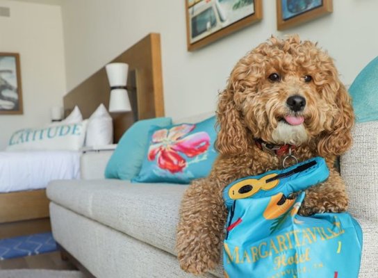 Margaritaville Hotel Nashville by null