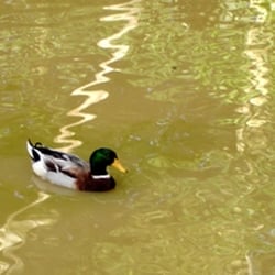 Parque Zoobotânico de Brusque
