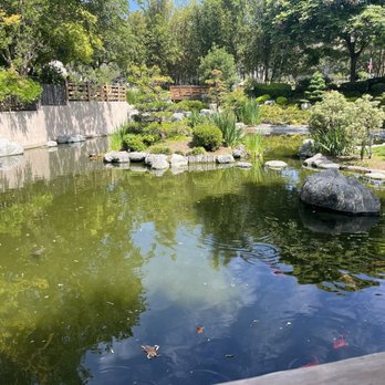 OLYMPUS - スカイガーデン GEORGE & SAKAYE ARTANI JAPANESE GARDEN - Updated September