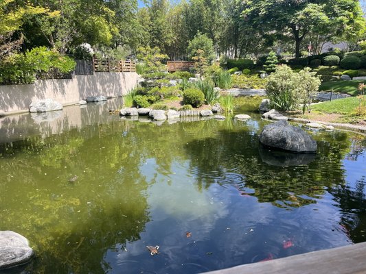 Japanese Garden by null