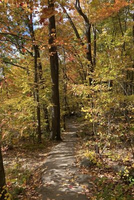 Devil's Lake State Park by null