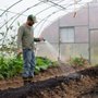 Photo of Banta Landscaping