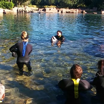 Discovery Cove - Amusement Parks Near Me - Orlando, Florida Discovery Cove - Amusement Parks Near Me - Orlando, Florida