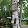Photo of Alaska's Northland Inn