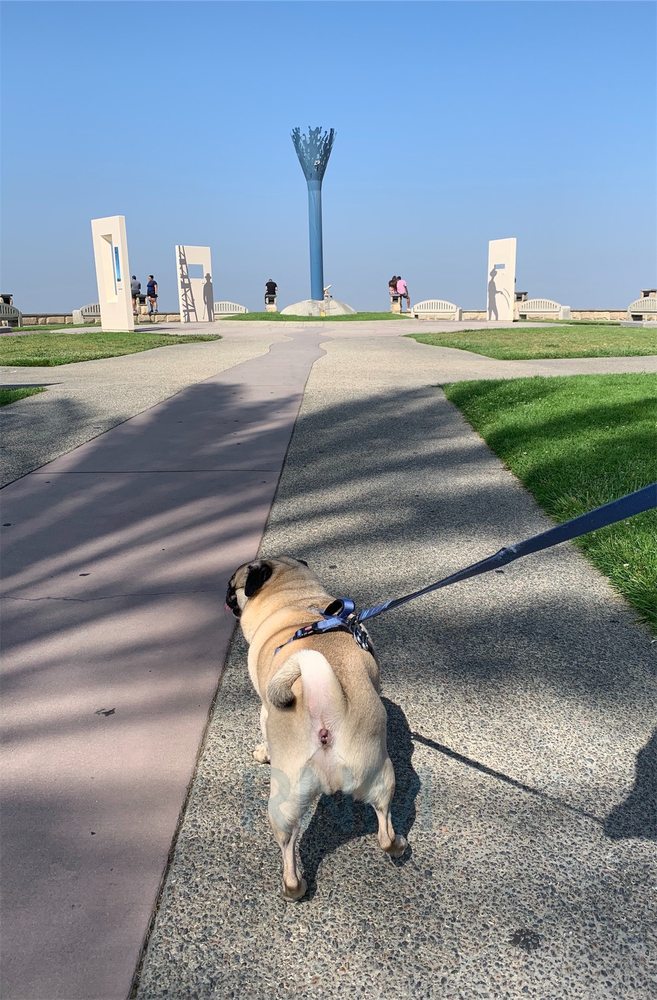 HILLTOP PARK 624 Photos & 295 Reviews Parks 2351 Dawson Ave