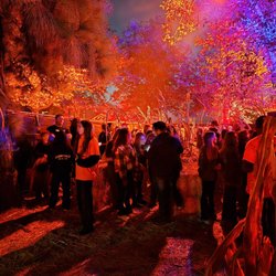 Los Angeles Haunted Hayride - 2025 L.A. Haunted Hayride - Line for the Hayride
