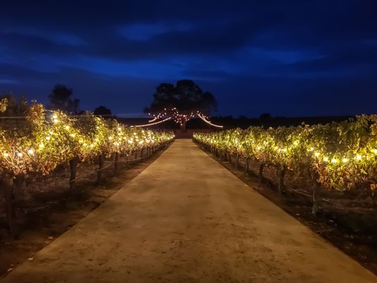Bokisch Vineyards by null