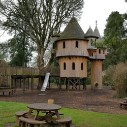 Birr Castle - Giant tree house to play in