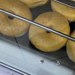 Flies around donuts