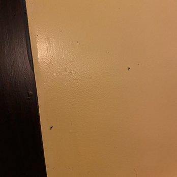 TGI Fridays - More flies on another wall - American Near Me - Middletown, New York TGI Fridays - More flies on another wall - American Near Me - Middletown, New York