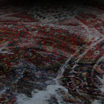 Carpet Line - Oriental Rug Cleaning NJ - Damage Restoration Near Me - East Brunswick, New Jersey